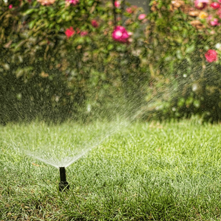 irrigation