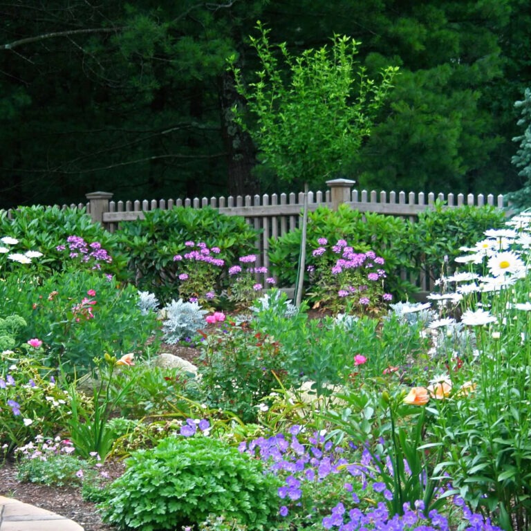 perennial garden